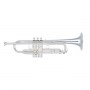 YAMAHA_Trumpet_C_4c6e450b21ed5.jpg