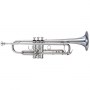 YAMAHA_Trumpet_C_4c6e471095d2f.jpg