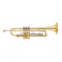 YAMAHA_Trumpet_X_4c6e4560295d8.jpg