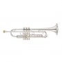 YAMAHA_Trumpet_X_4c6e47569a020.jpg