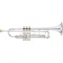 YAMAHA_Trumpet_X_4c6e509fa9f04.jpg