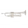 YAMAHA_Trumpet_Y_4c6e43c36de54.jpg